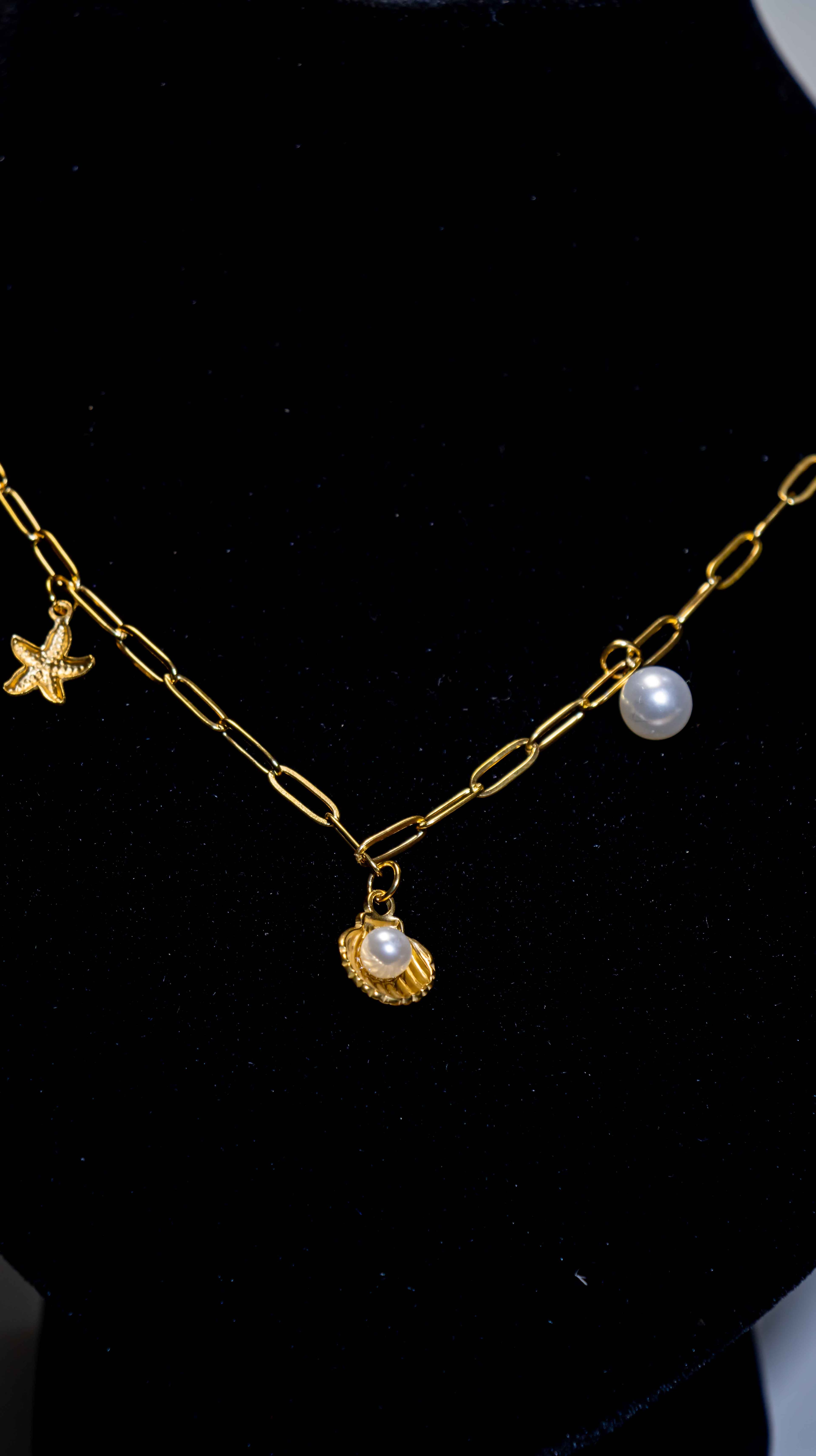 Shell Drop Necklace 1
